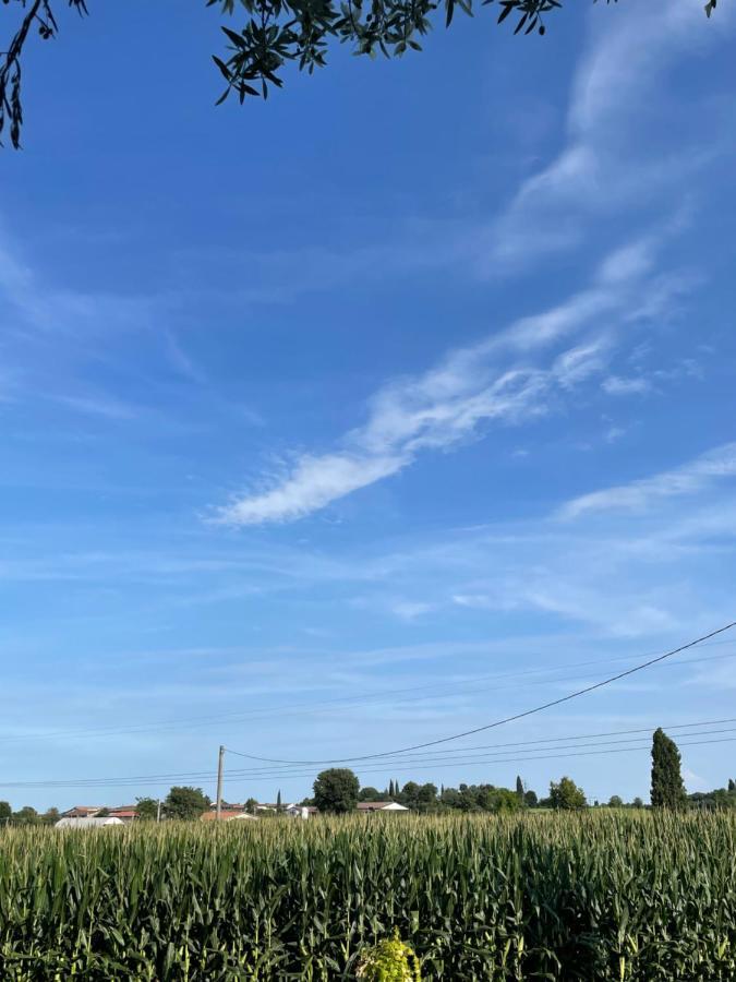 B&B Il Melograno Monzambano Bagian luar foto