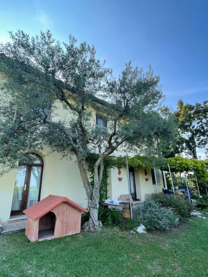 B&B Il Melograno Monzambano Bagian luar foto